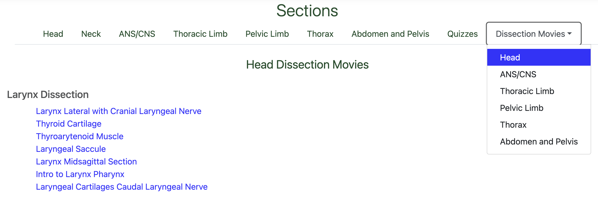 Dissection Movies list showing video titles organized by anatomical region