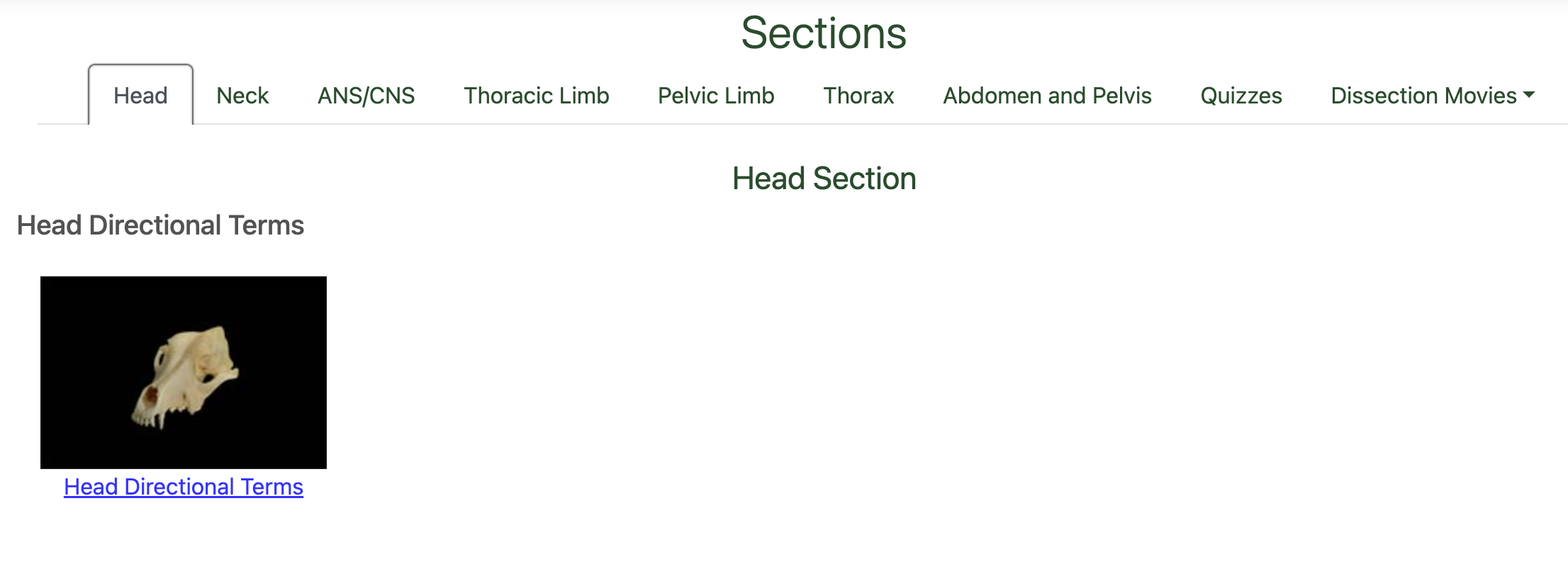 VCA navigation page showing section tabs and anatomical region thumbnails
