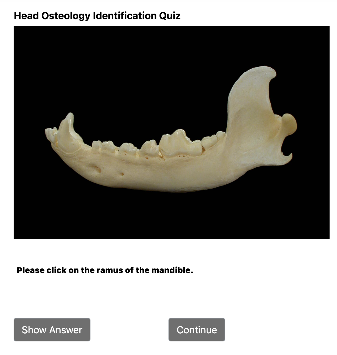 Structure Identification quiz, with a question prompt and Show Answer and Continue buttons