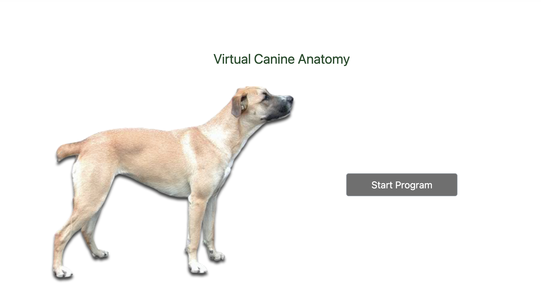VCA splash screen with the Virtual Canine Anatomy title and a Start Program button