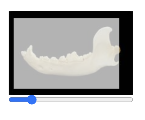 Zoom slider below the thumbnail, with a boundary box marking the visible area